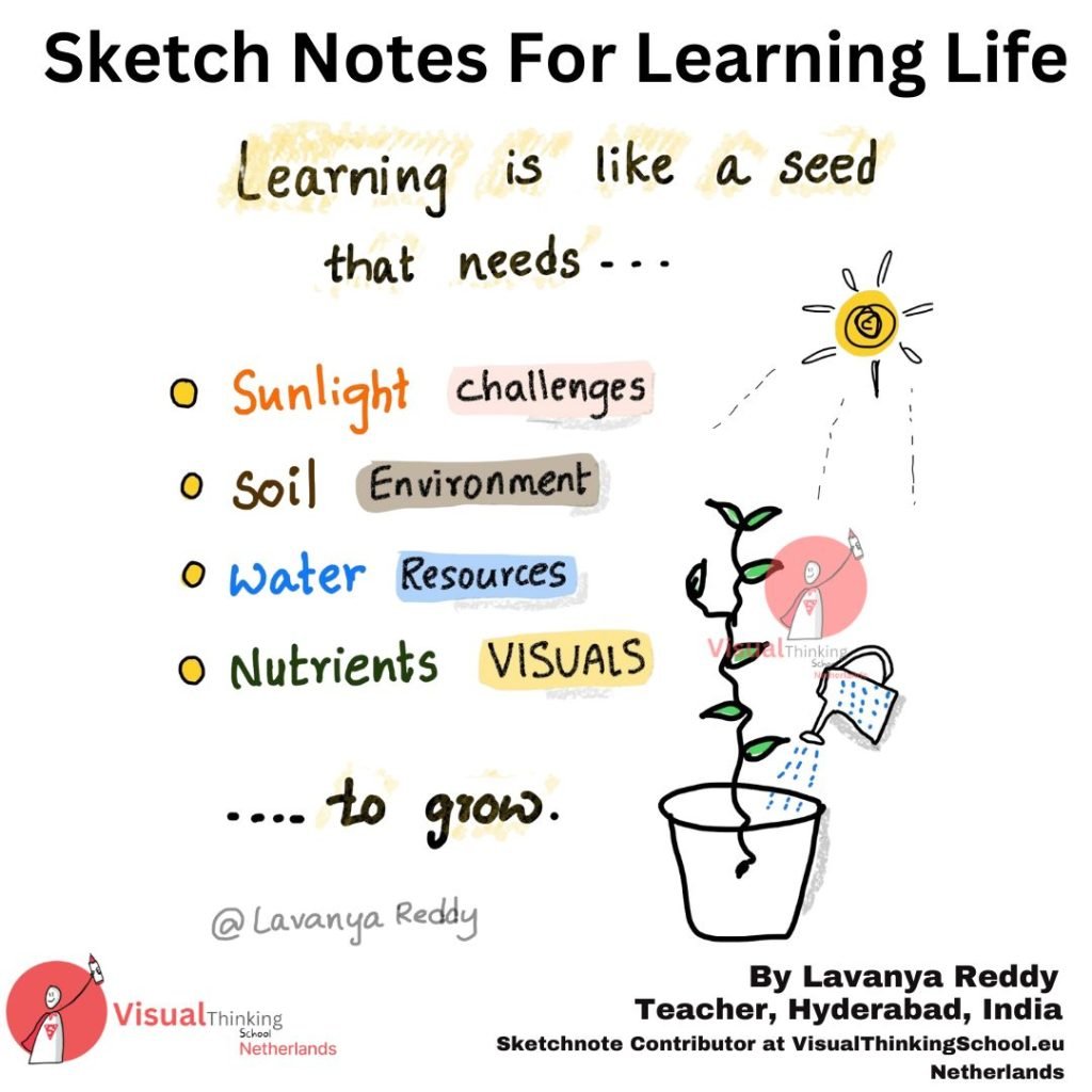 "Nurturing Knowledge: Learning as a Seed"